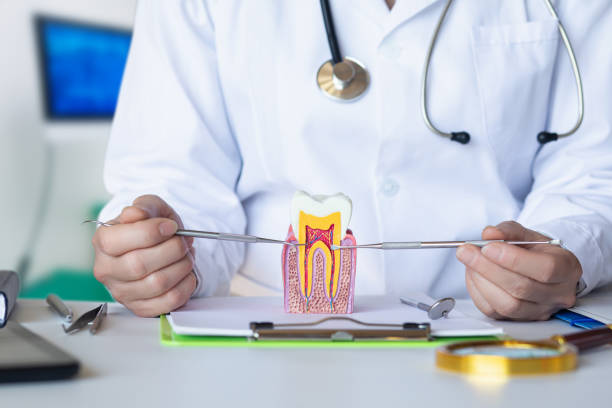 Best Emergency Orthodontic Services in Maryland City, MD